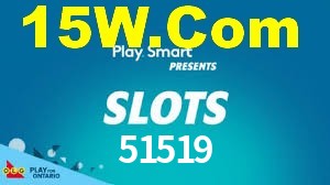 51519 App Interface